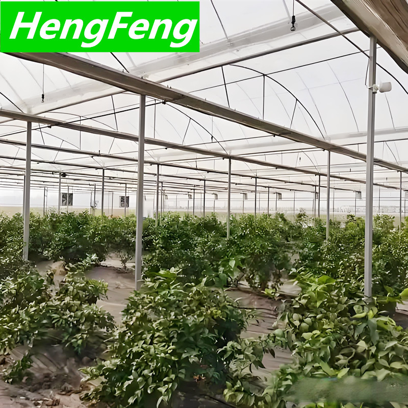 plastic green house total area can customize