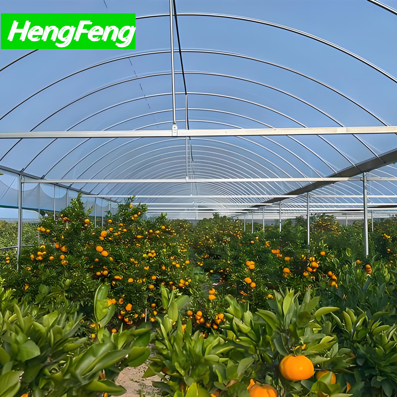 plastic green house for orangerie ，orangerie greenhouse
