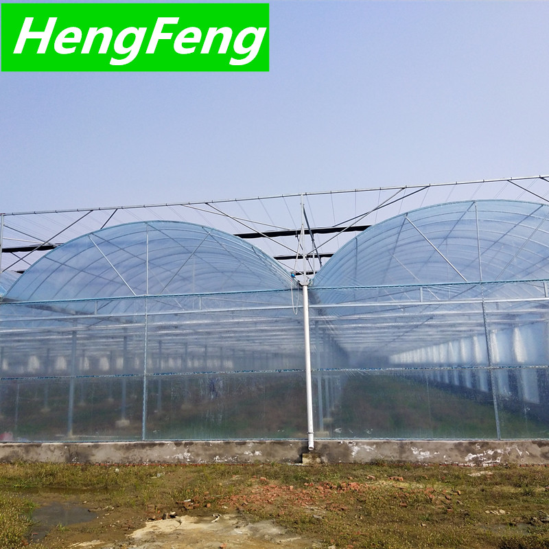 film greenhouse