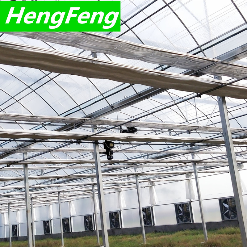 modern greenhouse
