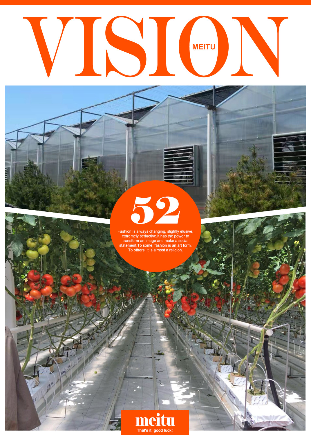 outdoor greenhouse for winter，10mm PC greenhouse