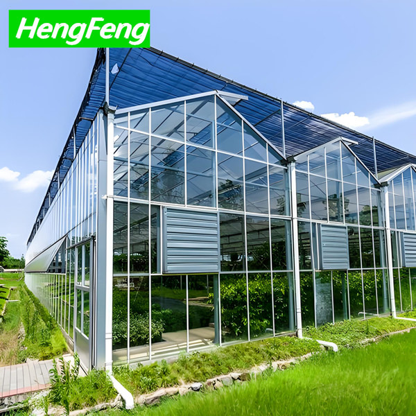 Kaufen hohes Gewächshaus, 10 m hohes Glasgewächshaus;hohes Gewächshaus, 10 m hohes Glasgewächshaus Preis;hohes Gewächshaus, 10 m hohes Glasgewächshaus Marken;hohes Gewächshaus, 10 m hohes Glasgewächshaus Hersteller;hohes Gewächshaus, 10 m hohes Glasgewächshaus Zitat;hohes Gewächshaus, 10 m hohes Glasgewächshaus Unternehmen
