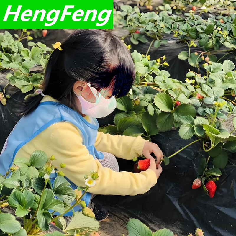 single span greenhouse