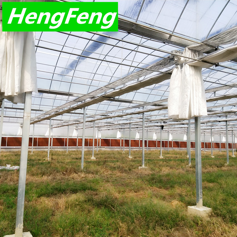 greenhouse plastic for sale