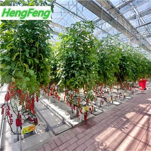 large greenhouse for sale