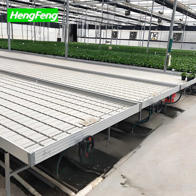 multispan film greenhouse