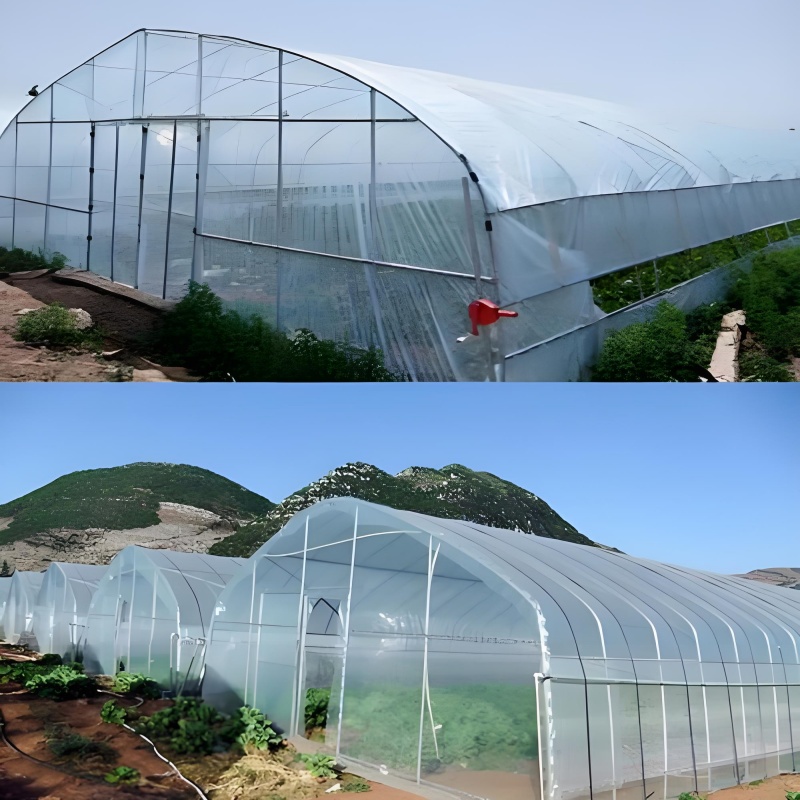 lean to greenhouse