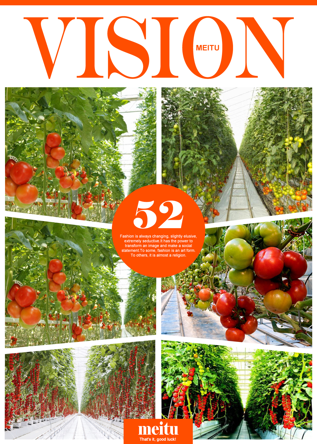 polycarbonate greenhouse ，2025 big size greenhouse