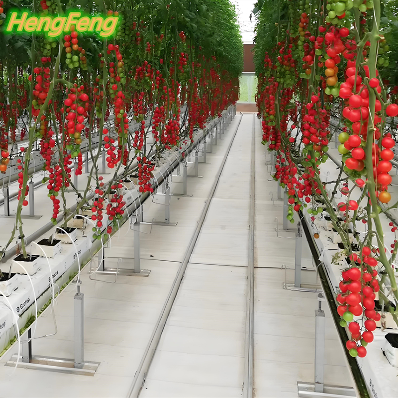 agriculture greenhouse