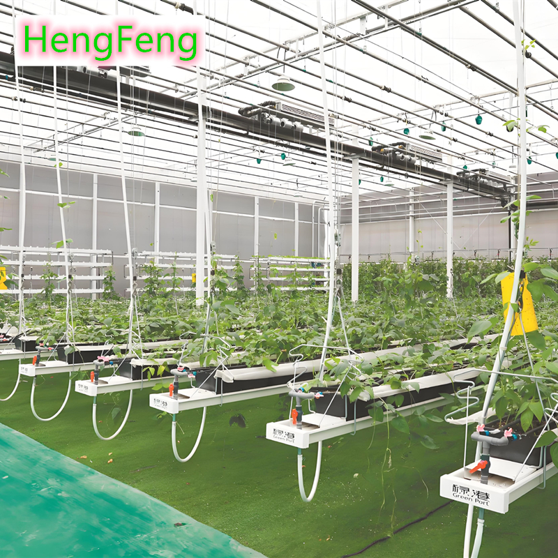 Acquista serra in policarbonato per carbeam sea,serra in policarbonato per carbeam sea prezzi,serra in policarbonato per carbeam sea marche,serra in policarbonato per carbeam sea Produttori,serra in policarbonato per carbeam sea Citazioni,serra in policarbonato per carbeam sea  l'azienda,