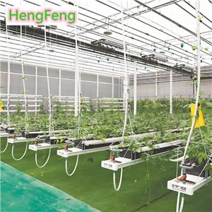 Invernadero de policarbonato para Carbbeam Sea