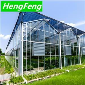 invernadero de cristal