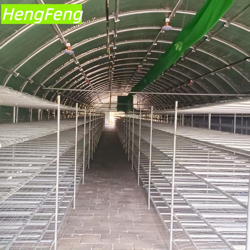 mushroom growing greenhouse