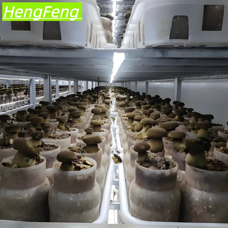 vegetable greenhouse