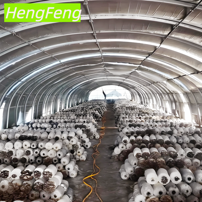 mushroom greenhouse design