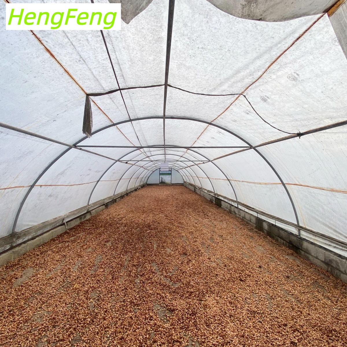 agriculture greenhouse