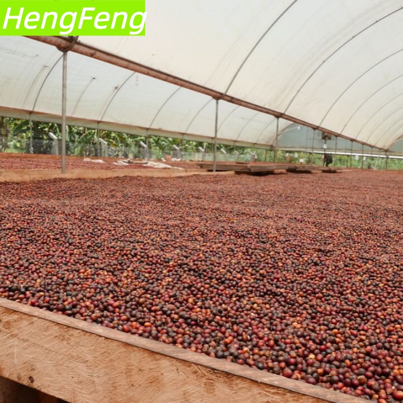 plastic film greenhouse 1792 square meters