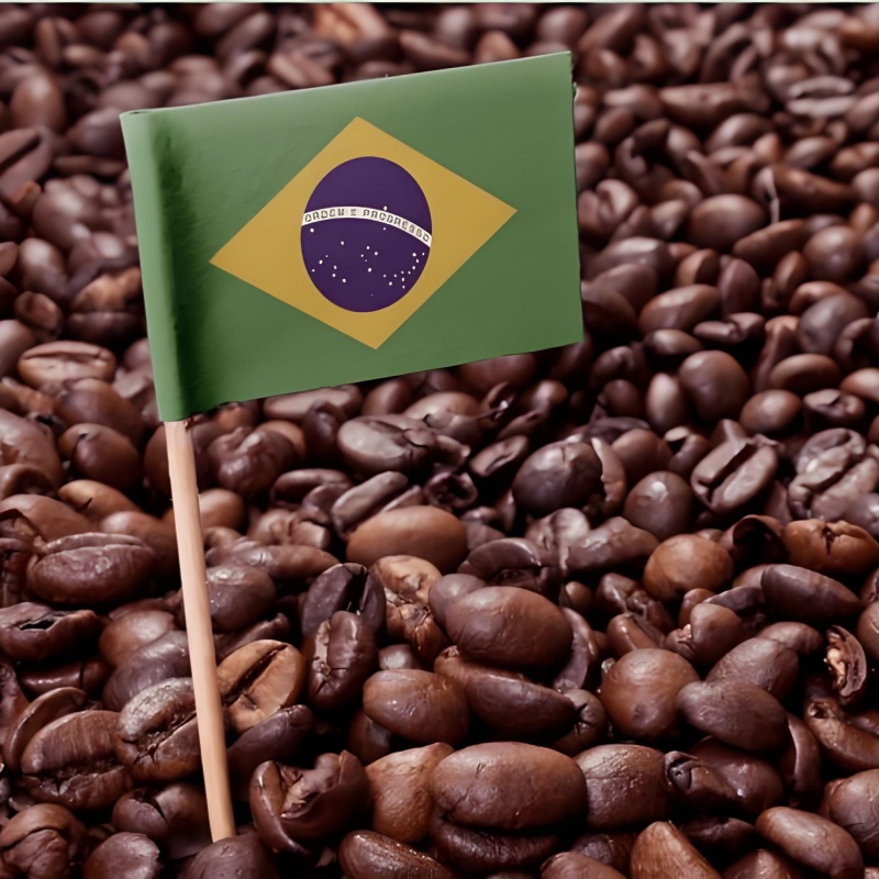 HengFeng dry coffee bean greenhouse for Brazil