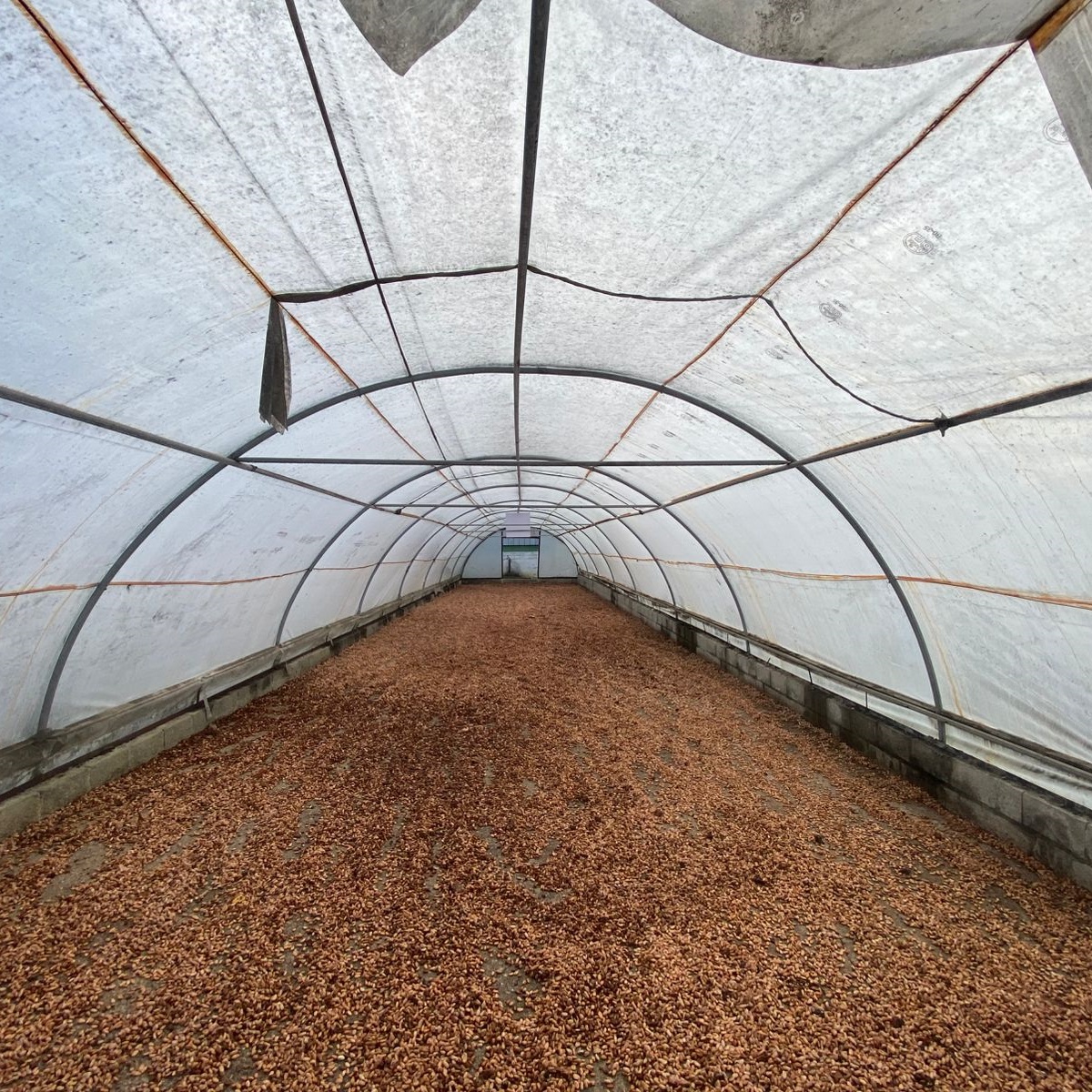 주문 하이 터널 온실 보호소,하이 터널 온실 보호소 가격,하이 터널 온실 보호소 브랜드,하이 터널 온실 보호소 제조업체,하이 터널 온실 보호소 인용,하이 터널 온실 보호소 회사,