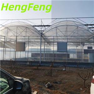 เรือนกระจกฟิล์มแบบหลายช่วง ขนาด 1792 ตารางเมตร