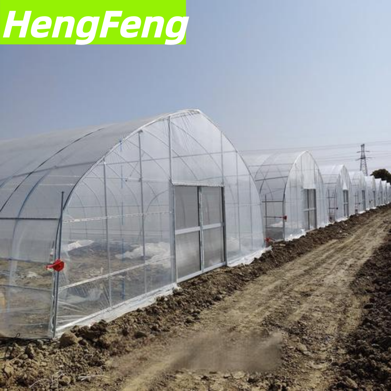 Comprar Túnel amigo de los agricultores para Estados Unidos, Túnel amigo de los agricultores para Estados Unidos Precios, Túnel amigo de los agricultores para Estados Unidos Marcas, Túnel amigo de los agricultores para Estados Unidos Fabricante, Túnel amigo de los agricultores para Estados Unidos Citas, Túnel amigo de los agricultores para Estados Unidos Empresa.