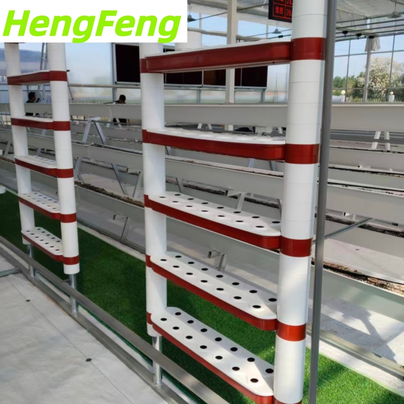 hydroponic greenhouse