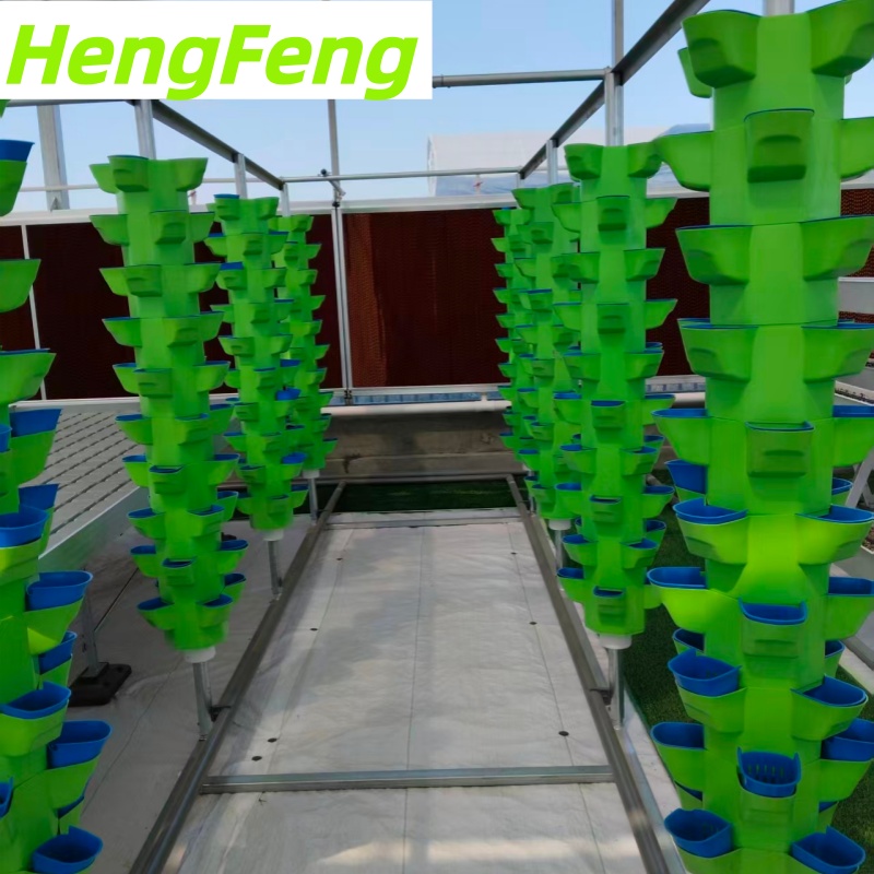 Китай гидропонная теплица для лекции, производитель