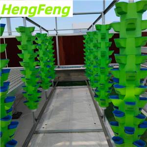 гидропонная теплица для лекции