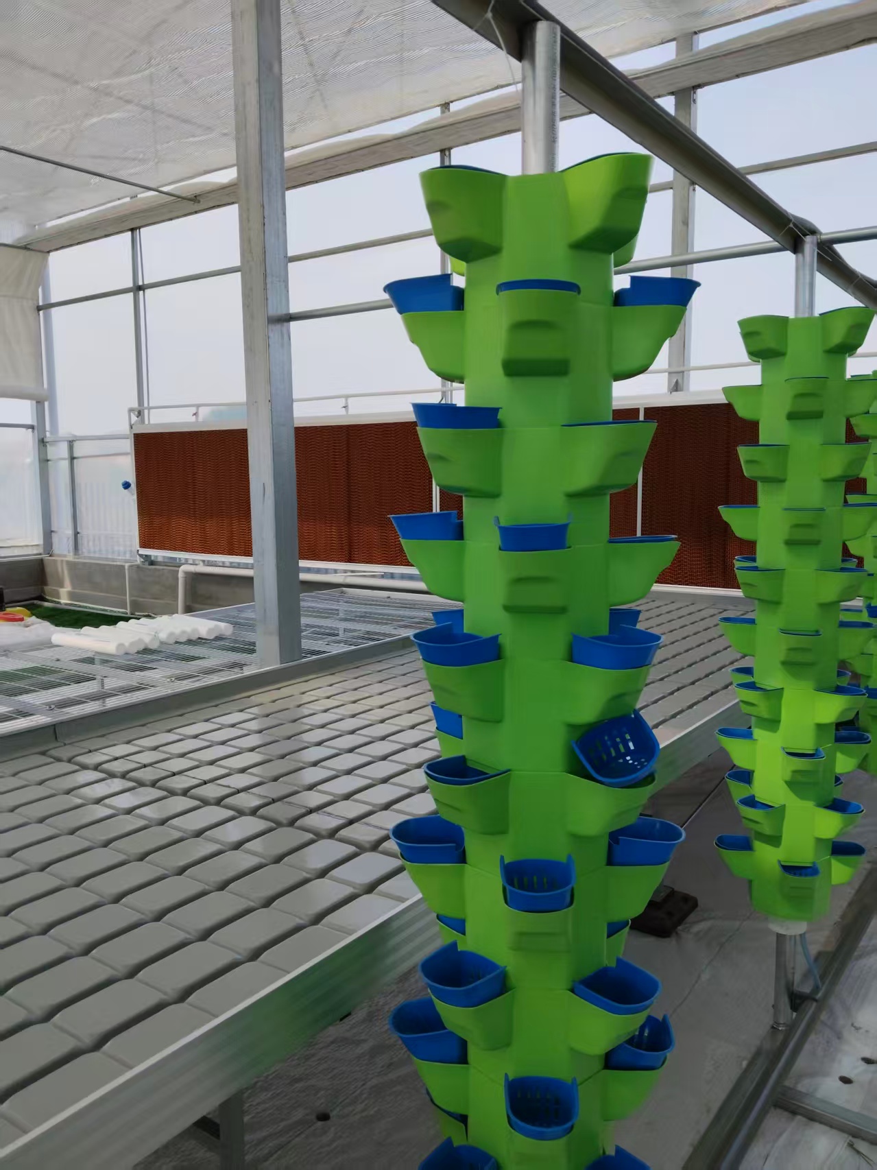 hydroponic system