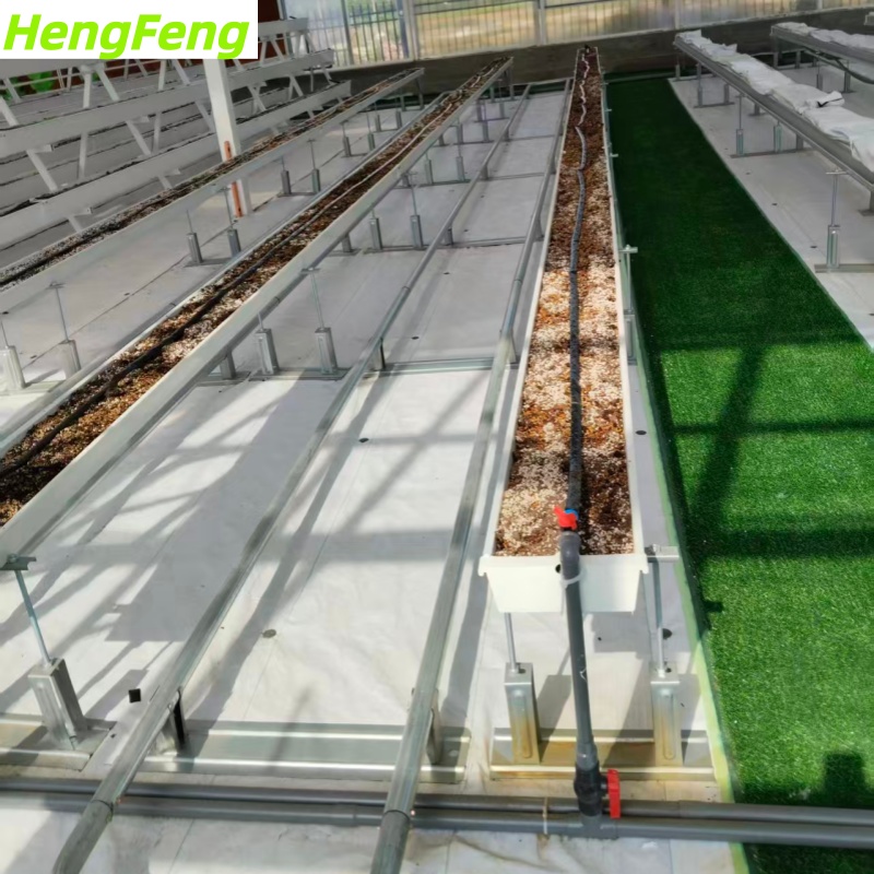 Китай закрытая гидропонная теплица, производитель