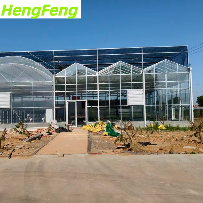 vegetable greenhouse