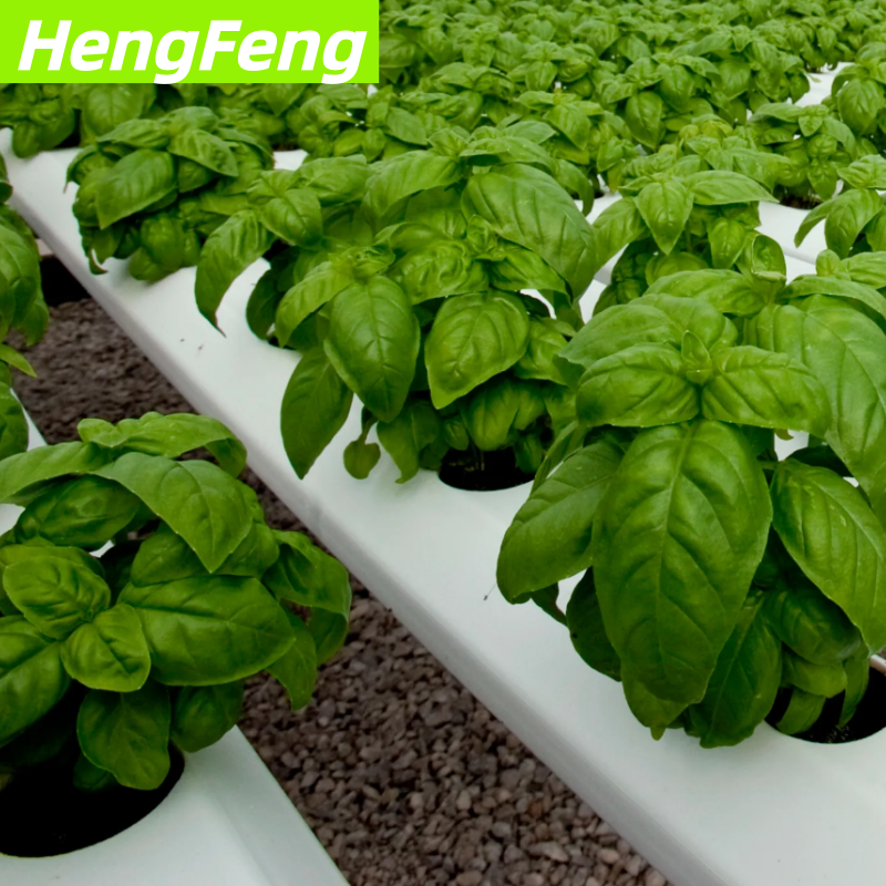 hydroponic greenhouse diy for basil