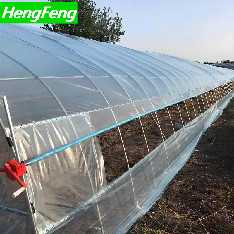Acquista Struttura per serra a tunnel,Struttura per serra a tunnel prezzi,Struttura per serra a tunnel marche,Struttura per serra a tunnel Produttori,Struttura per serra a tunnel Citazioni,Struttura per serra a tunnel  l'azienda,