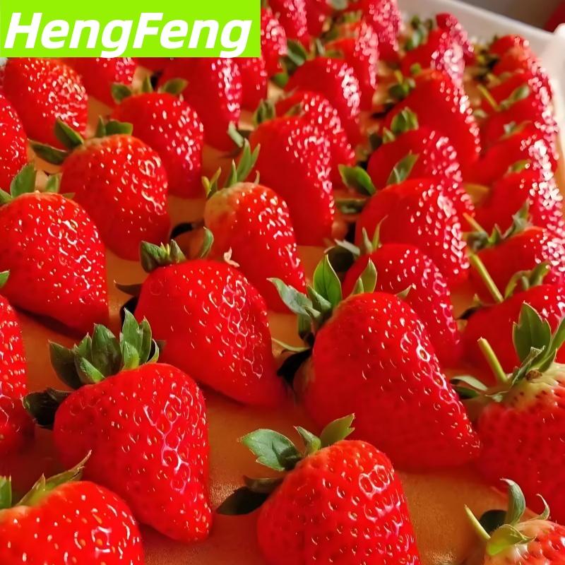 greenhouse grown strawberries vs organic