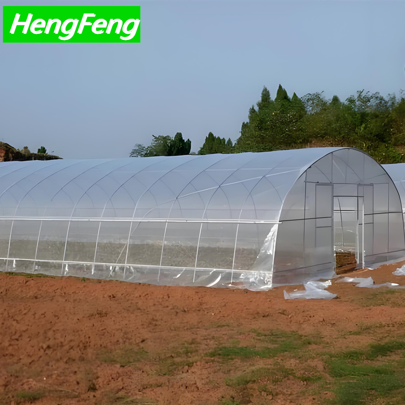 greenhouse tunnel south africa