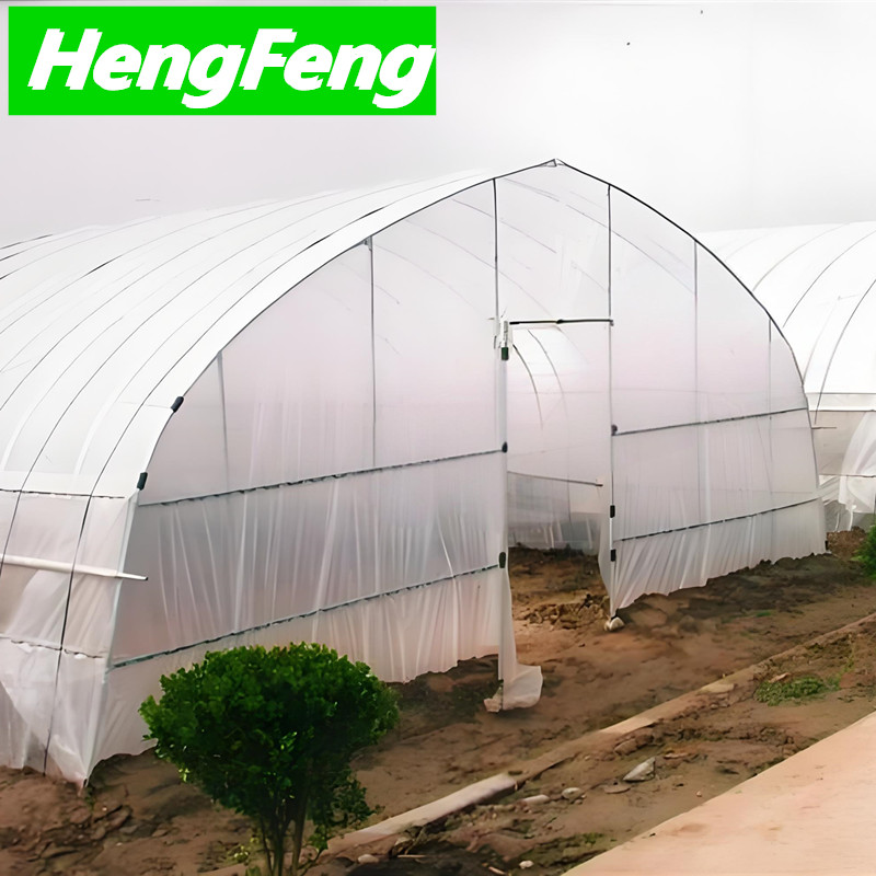 tunnel greenhouse for southern africa