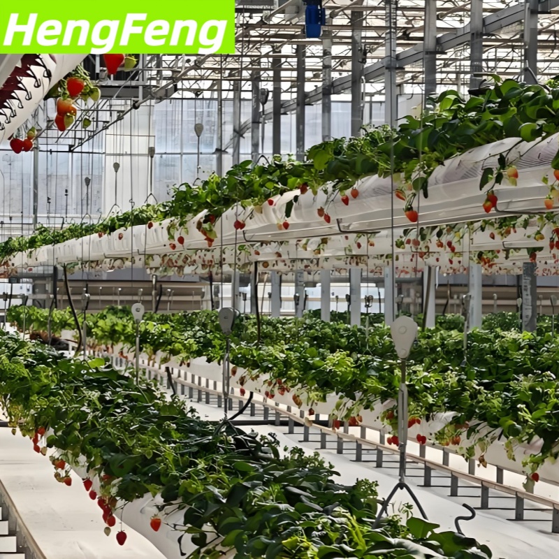 organic greenhouse