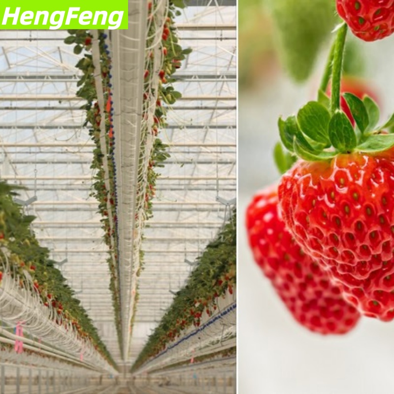 heavy duty polytunnel
