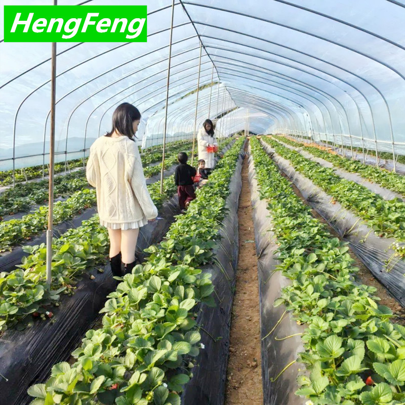 single span greenhouse meaning
