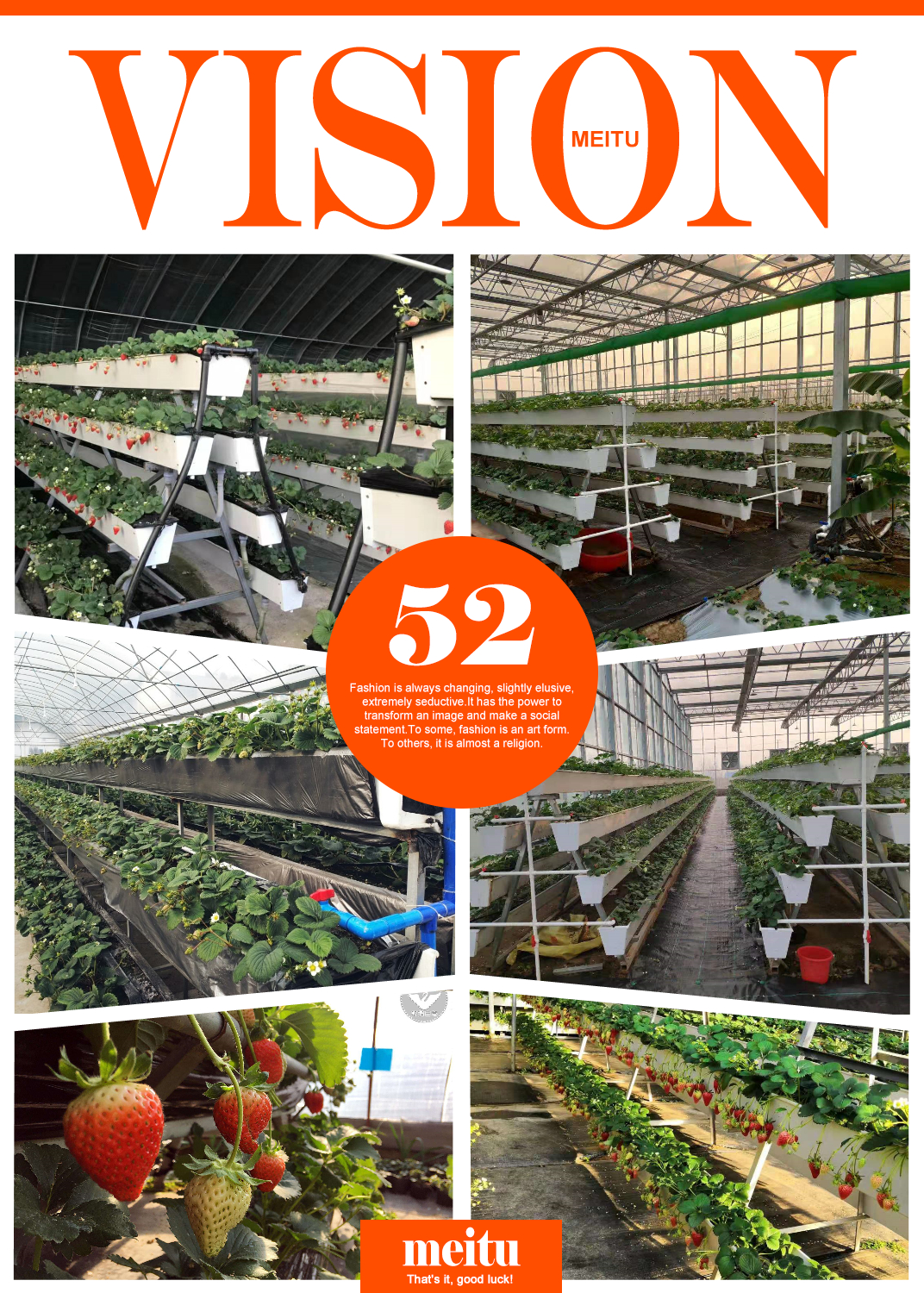 agriculture greenhouse