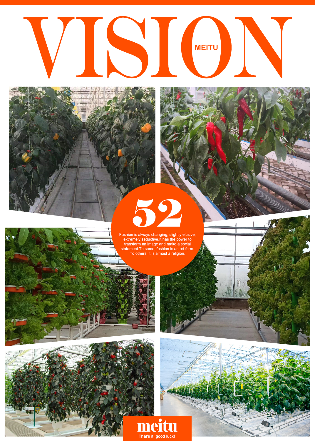 polycarbonate greenhouse