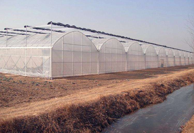 Acheter agriculture sous serre 2026,agriculture sous serre 2026 Prix,agriculture sous serre 2026 Marques,agriculture sous serre 2026 Fabricant,agriculture sous serre 2026 Quotes,agriculture sous serre 2026 Société,