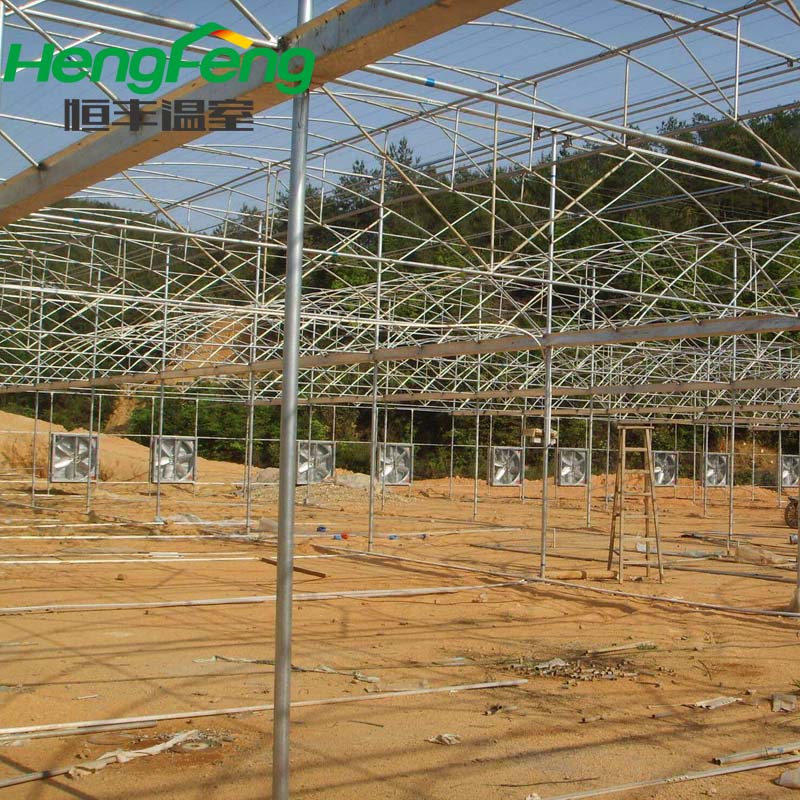 multispan film greenhouse for latin America