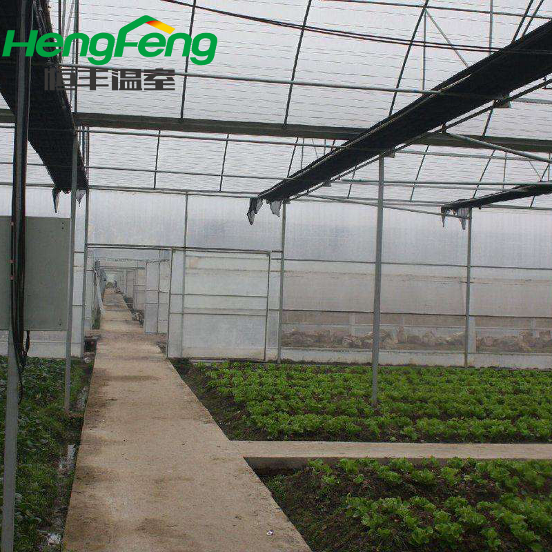 multispan film greenhouse for latin America