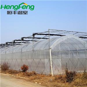 multispan film greenhouse for sweet potato