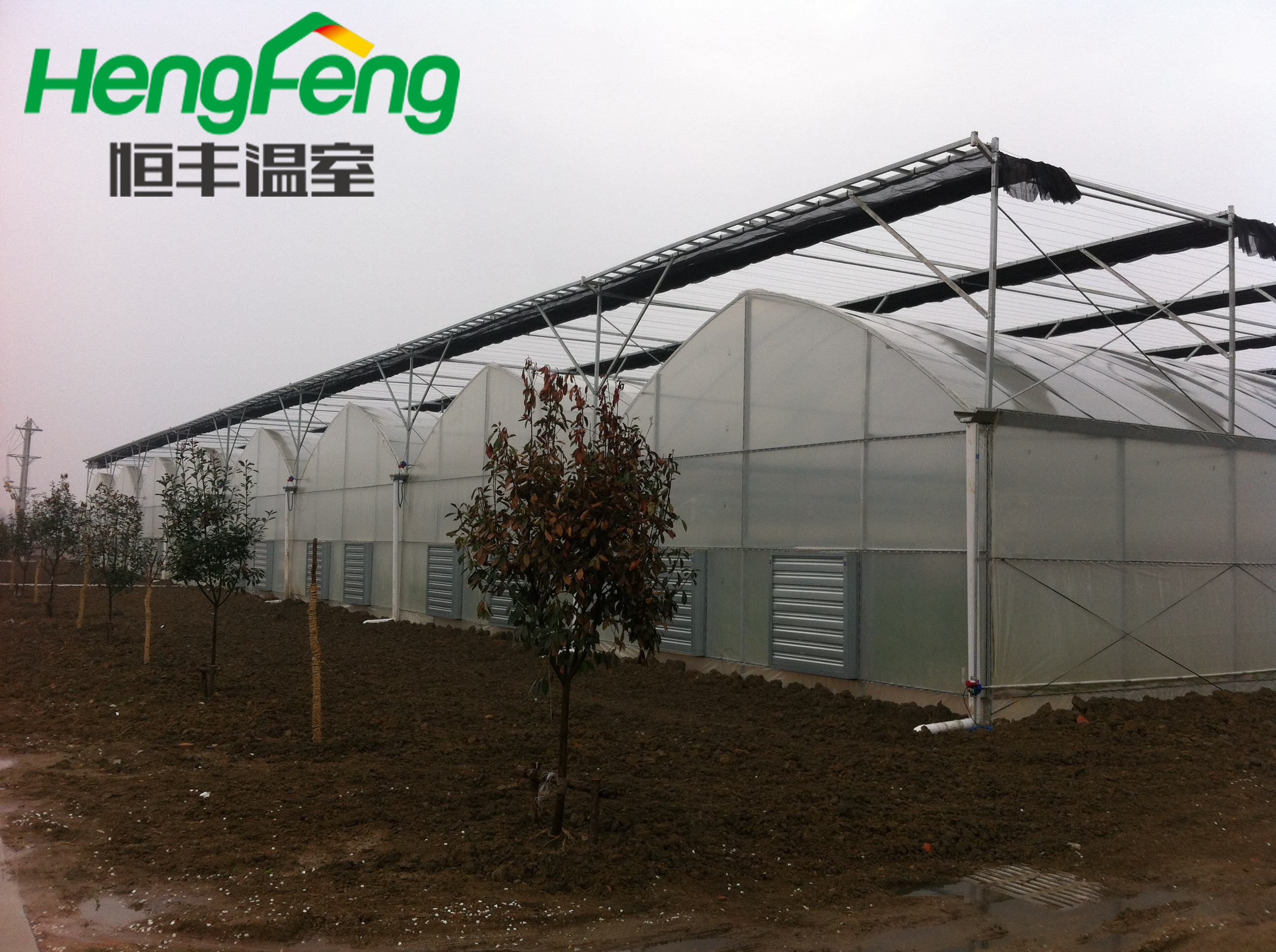 multispan film greenhouse for sweet potato