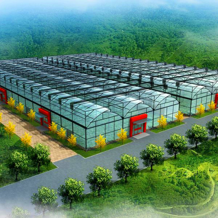 agriculture greenhouse for dominican republic