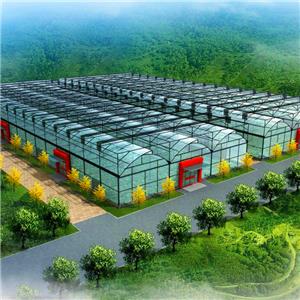 agriculture greenhouse for dominican republic