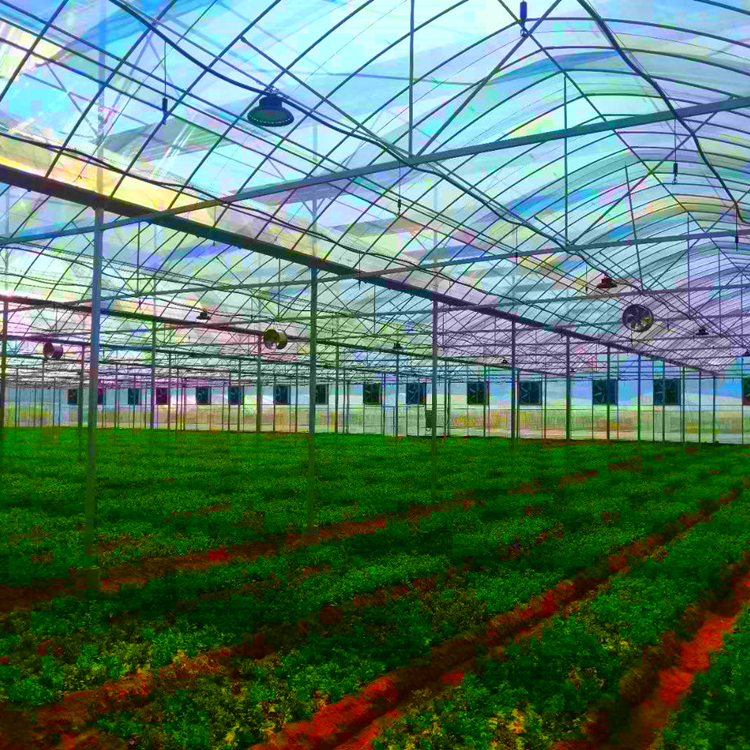 agriculture greenhouse for dominican republic