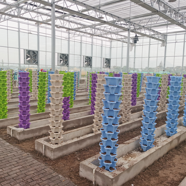agriculture greenhouse for dominican republic